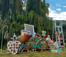 decoracion tematica vintage en bogota